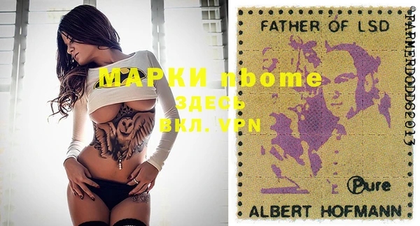 молекула духа Бородино