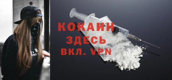 прущие грибы Богданович
