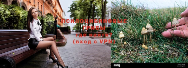 MDMA Богородицк