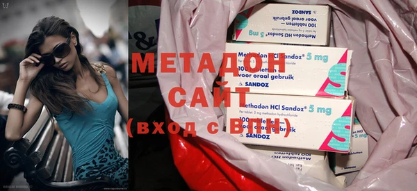прущие грибы Богданович