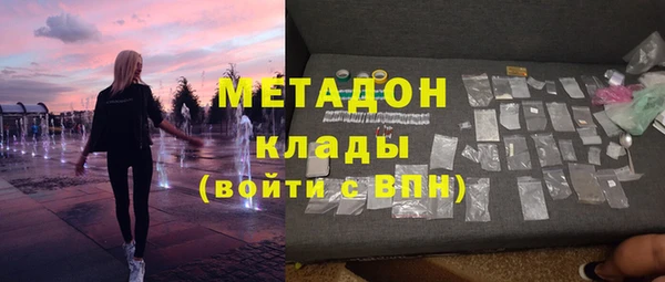 прущие грибы Богданович